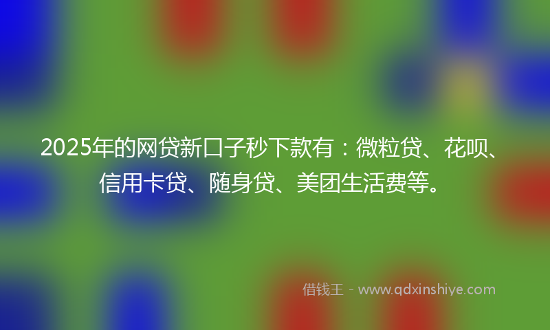 2025年的网贷新口子秒下款有：微粒贷、花呗、信用卡贷、随身贷、美团生活费等。