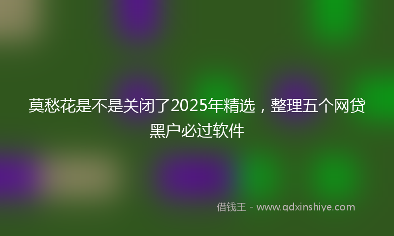 莫愁花是不是关闭了2025年精选，整理五个网贷黑户必过软件