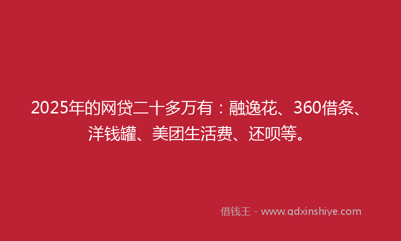 2025年的网贷二十多万有：融逸花、360借条、洋钱罐、美团生活费、还呗等。