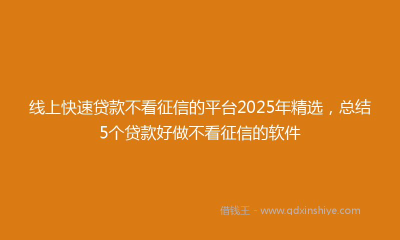 线上快速贷款不看征信的平台2025年精选，总结5个贷款好做不看征信的软件