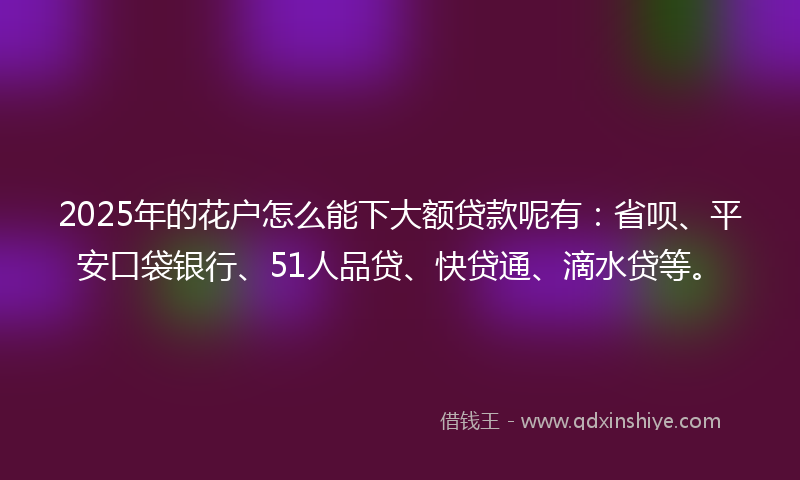 2025年的花户怎么能下大额贷款呢有:省呗、平安口袋银行、51人品贷、快贷通、滴水贷等。