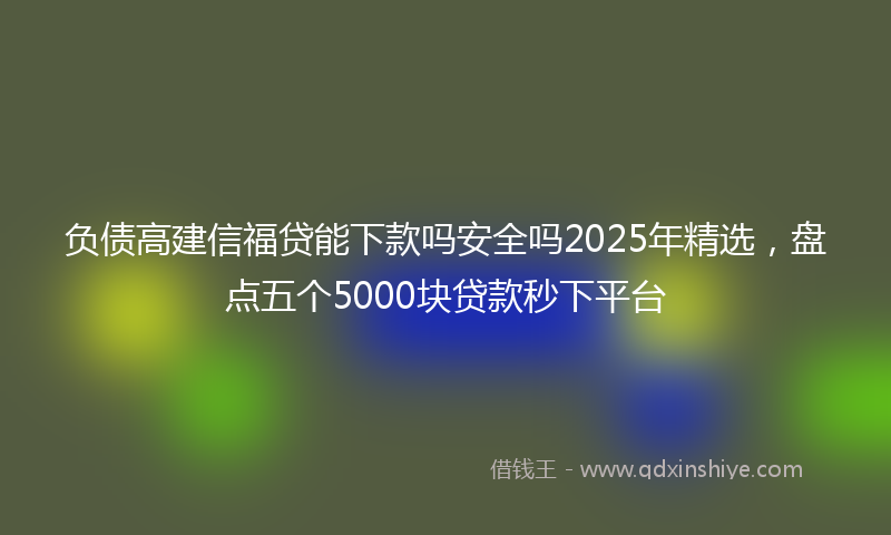 负债高建信福贷能下款吗安全吗2025年精选，盘点五个5000块贷款秒下平台