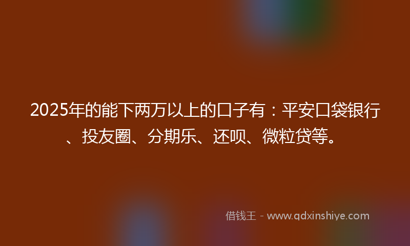 2025年的能下两万以上的口子有：平安口袋银行、投友圈、分期乐、还呗、微粒贷等。