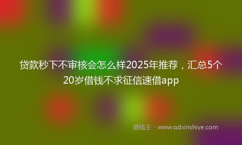 贷款秒下不审核会怎么样2025年推荐，汇总5个20岁借钱不求征信速借app
