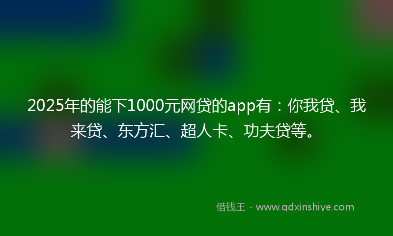 2025年的能下1000元网贷的app有：你我贷、我来贷、东方汇、超人卡、功夫贷等。