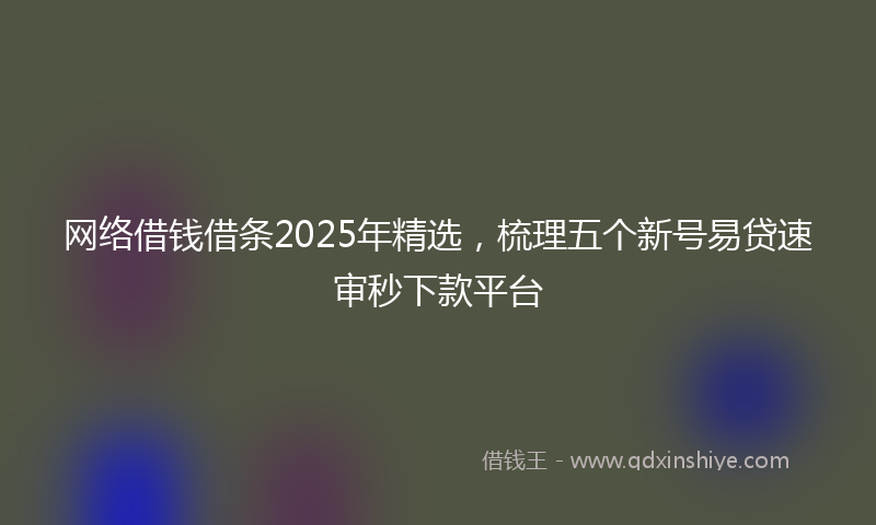 网络借钱借条2025年精选，梳理五个新号易贷速审秒下款平台
