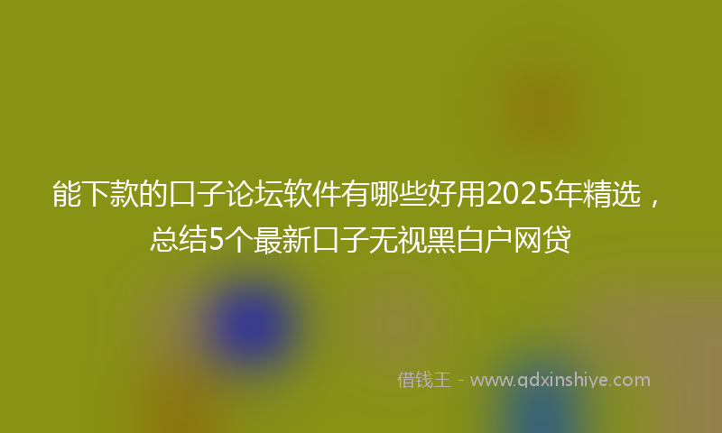 能下款的口子论坛软件有哪些好用2025年精选，总结5个最新口子无视黑白户网贷