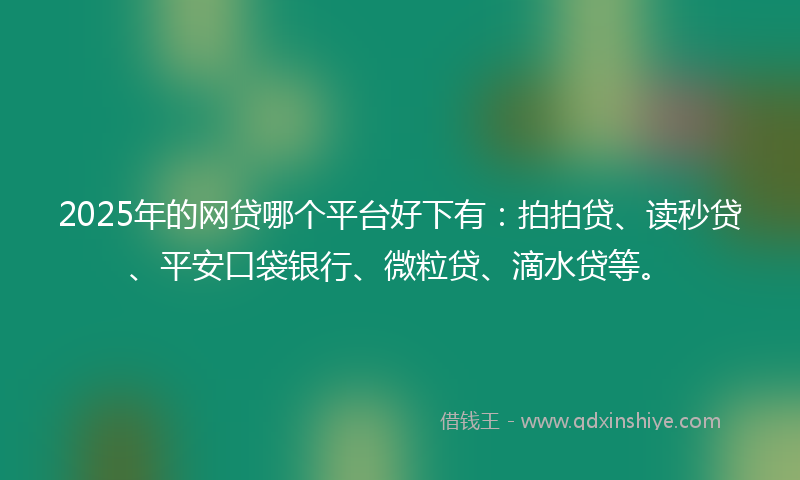 2025年的网贷哪个平台好下有：拍拍贷、读秒贷、平安口袋银行、微粒贷、滴水贷等。