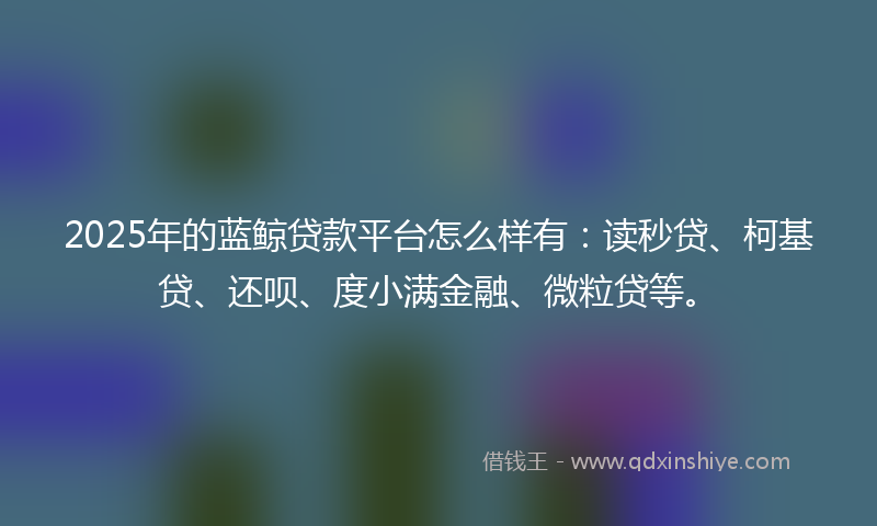 2025年的蓝鲸贷款平台怎么样有：读秒贷、柯基贷、还呗、度小满金融、微粒贷等。