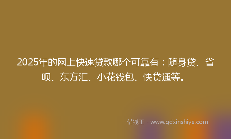 2025年的网上快速贷款哪个可靠有：随身贷、省呗、东方汇、小花钱包、快贷通等。