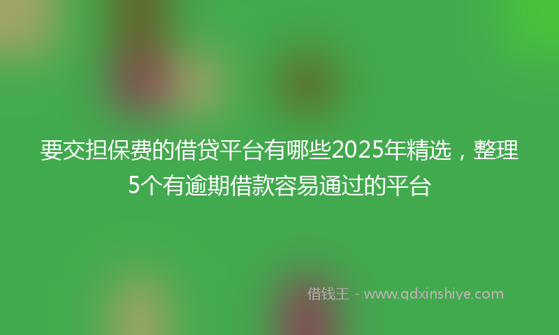 要交担保费的借贷平台有哪些2025年精选，整理5个有逾期借款容易通过的平台