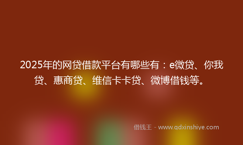 2025年的网贷借款平台有哪些有：e微贷、你我贷、惠商贷、维信卡卡贷、微博借钱等。