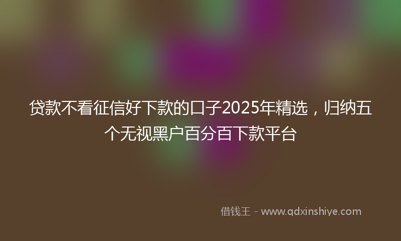 贷款不看征信好下款的口子2025年精选，归纳五个无视黑户百分百下款平台