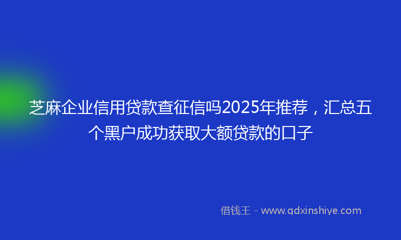 芝麻企业信用贷款查征信吗2025年推荐，汇总五个黑户成功获取大额贷款的口子