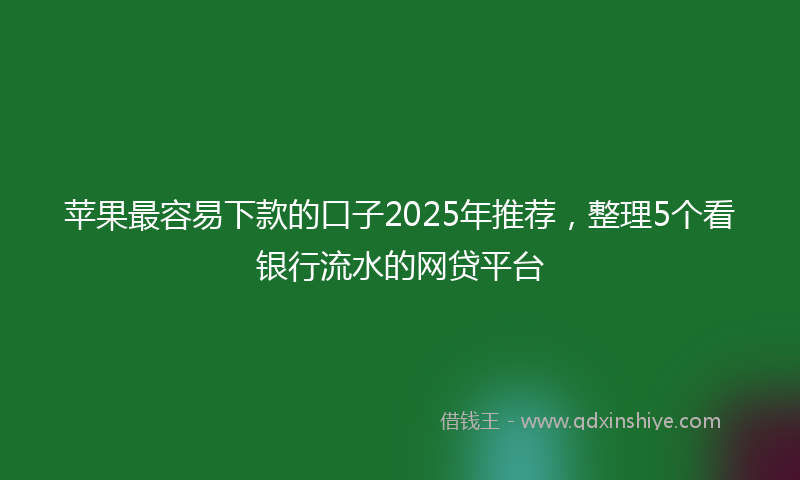 苹果最容易下款的口子2025年推荐，整理5个看银行流水的网贷平台
