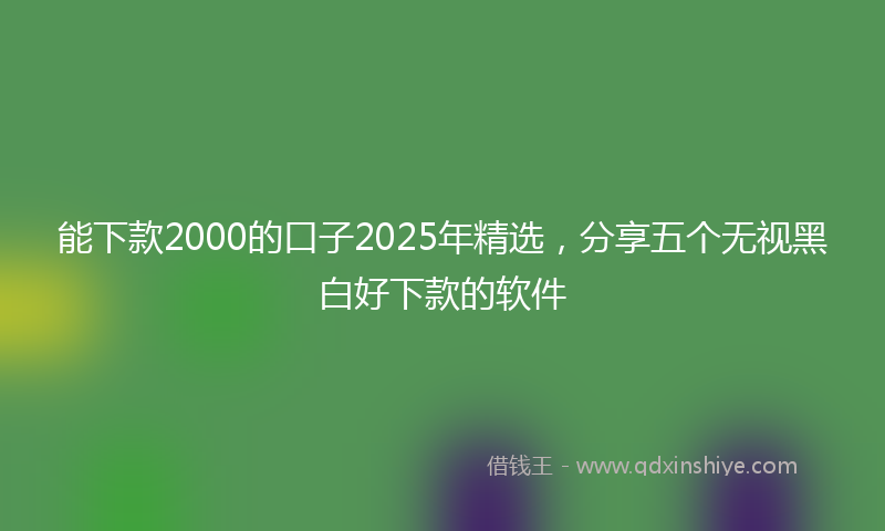 能下款2000的口子2025年精选，分享五个无视黑白好下款的软件
