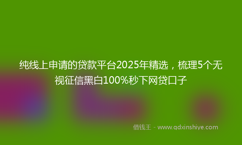 纯线上申请的贷款平台2025年精选，梳理5个无视征信黑白100%秒下网贷口子