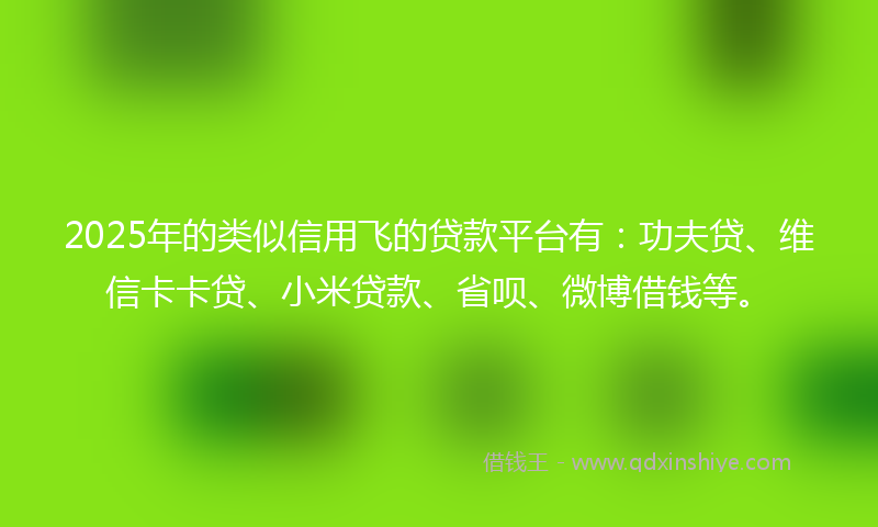 2025年的类似信用飞的贷款平台有：功夫贷、维信卡卡贷、小米贷款、省呗、微博借钱等。