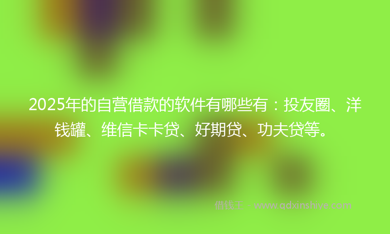2025年的自营借款的软件有哪些有：投友圈、洋钱罐、维信卡卡贷、好期贷、功夫贷等。