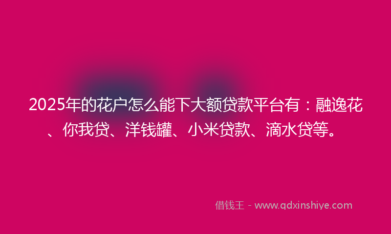 2025年的花户怎么能下大额贷款平台有：融逸花、你我贷、洋钱罐、小米贷款、滴水贷等。