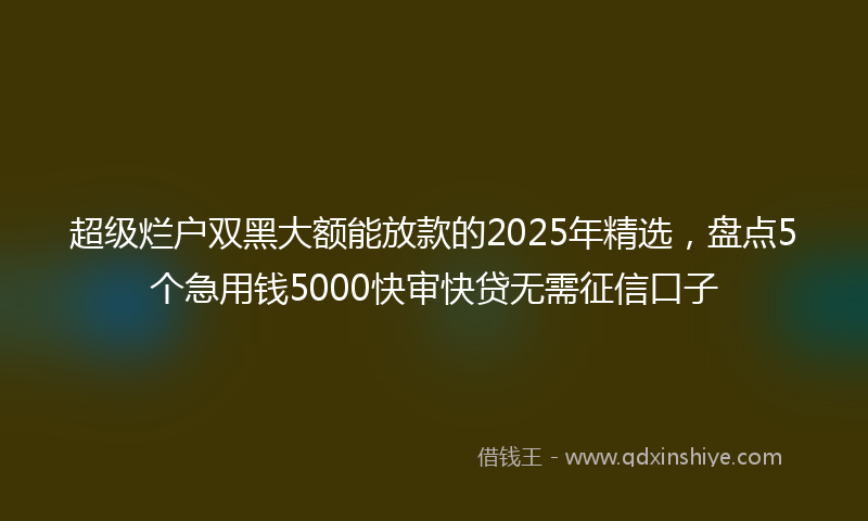 超级烂户双黑大额能放款的2025年精选，盘点5个急用钱5000快审快贷无需征信口子