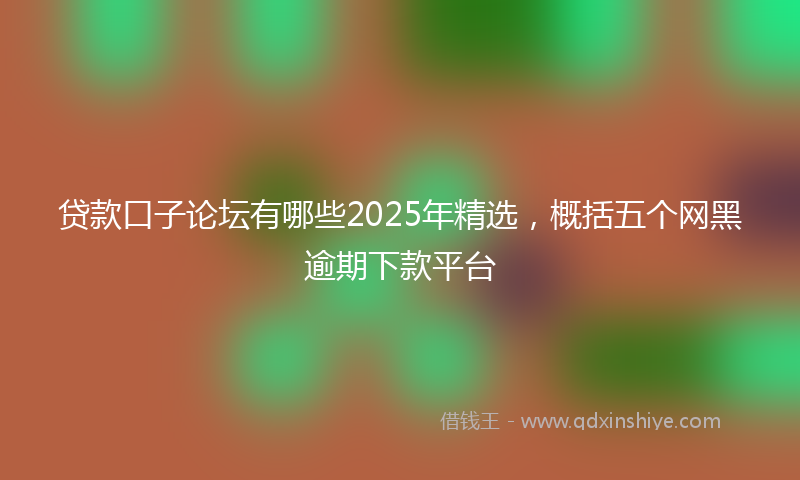 贷款口子论坛有哪些2025年精选，概括五个网黑逾期下款平台