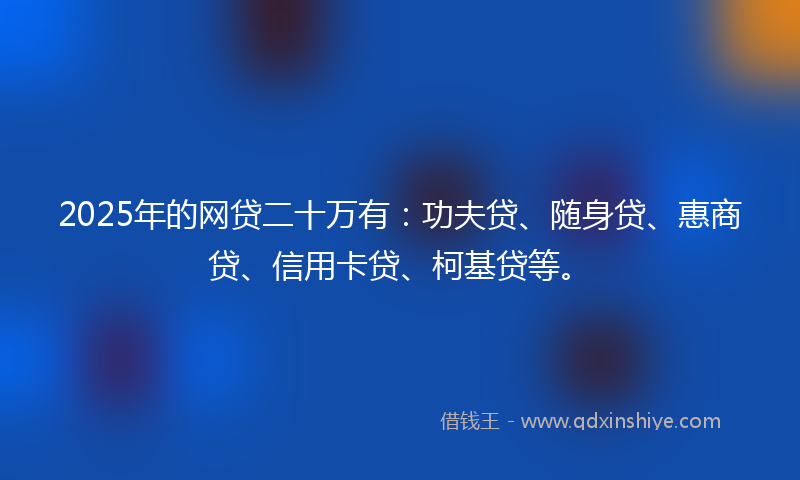 2025年的网贷二十万有：功夫贷、随身贷、惠商贷、信用卡贷、柯基贷等。