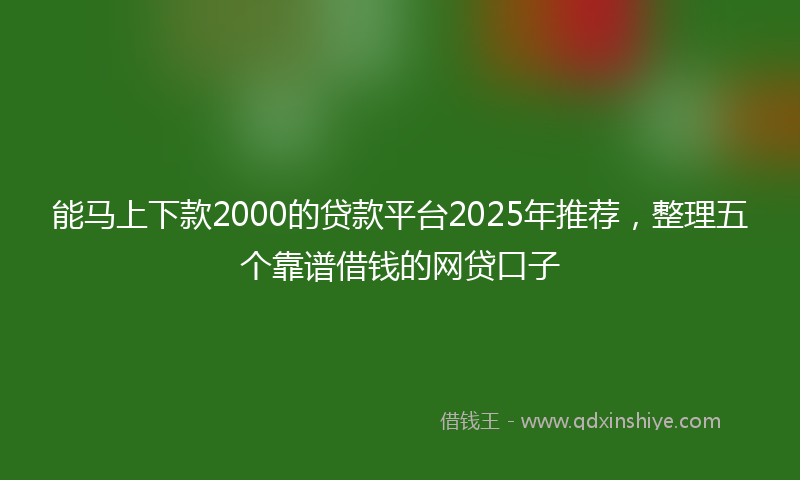 能马上下款2000的贷款平台2025年推荐，整理五个靠谱借钱的网贷口子