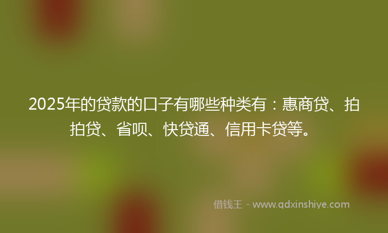 2025年的贷款的口子有哪些种类有：惠商贷、拍拍贷、省呗、快贷通、信用卡贷等。