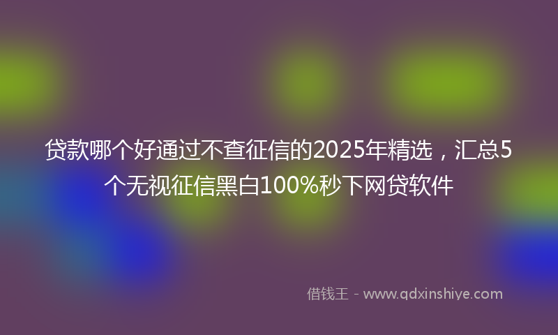 贷款哪个好通过不查征信的2025年精选，汇总5个无视征信黑白100%秒下网贷软件