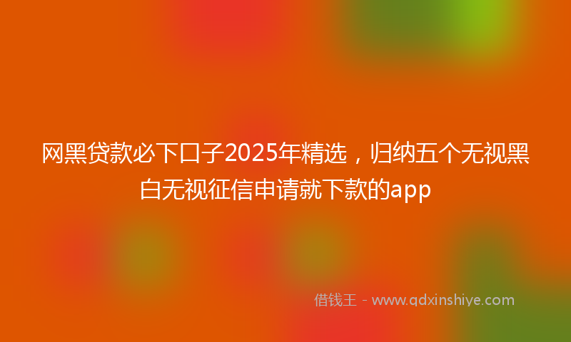 网黑贷款必下口子2025年精选，归纳五个无视黑白无视征信申请就下款的app