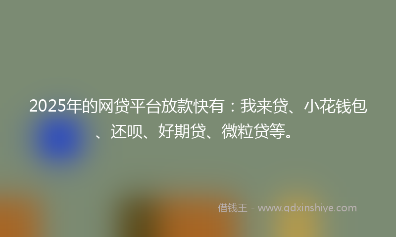 2025年的网贷平台放款快有：我来贷、小花钱包、还呗、好期贷、微粒贷等。