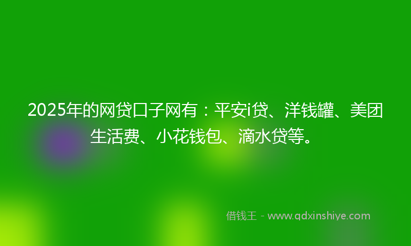 2025年的网贷口子网有：平安i贷、洋钱罐、美团生活费、小花钱包、滴水贷等。