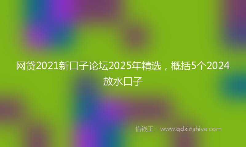 网贷2021新口子论坛2025年精选，概括5个2024放水口子