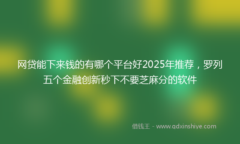 网贷能下来钱的有哪个平台好2025年推荐，罗列五个金融创新秒下不要芝麻分的软件