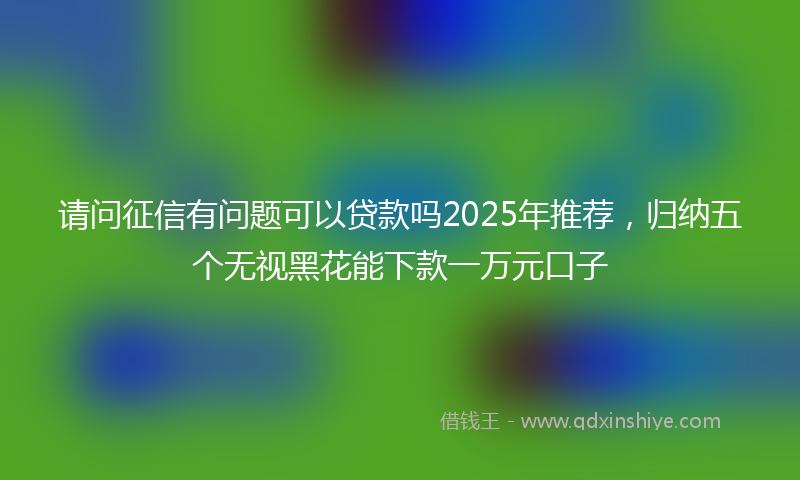 请问征信有问题可以贷款吗2025年推荐，归纳五个无视黑花能下款一万元口子