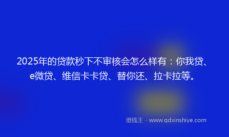 2025年的贷款秒下不审核会怎么样有：你我贷、e微贷、维信卡卡贷、替你还、拉卡拉等。
