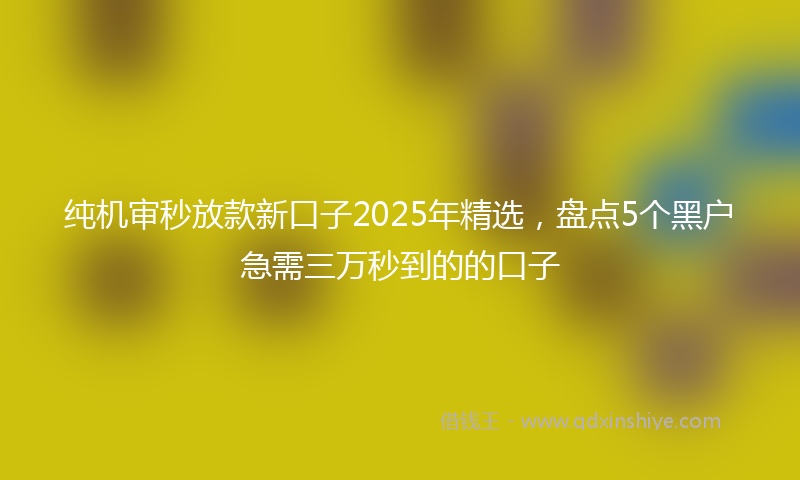 纯机审秒放款新口子2025年精选，盘点5个黑户急需三万秒到的的口子