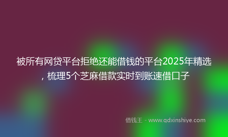 被所有网贷平台拒绝还能借钱的平台2025年精选，梳理5个芝麻借款实时到账速借口子