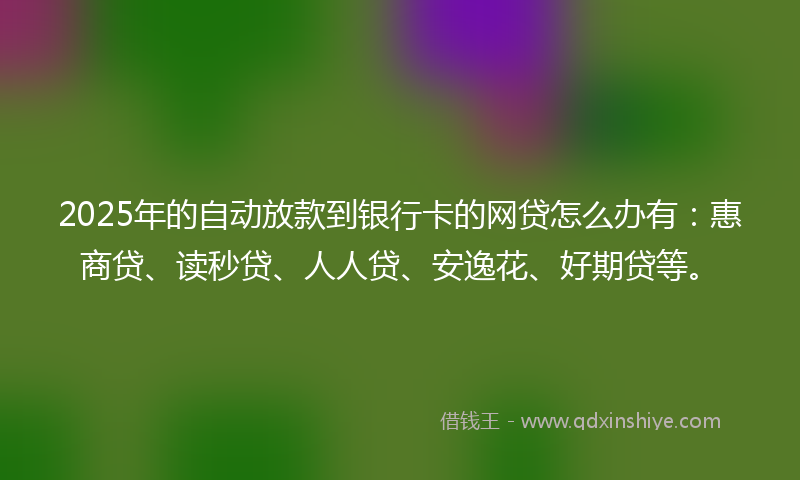 2025年的自动放款到银行卡的网贷怎么办有：惠商贷、读秒贷、人人贷、安逸花、好期贷等。