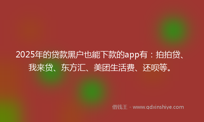 2025年的贷款黑户也能下款的app有：拍拍贷、我来贷、东方汇、美团生活费、还呗等。