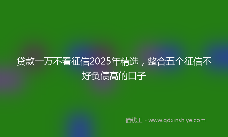 贷款一万不看征信2025年精选，整合五个征信不好负债高的口子