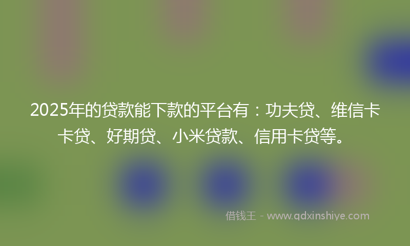 2025年的贷款能下款的平台有：功夫贷、维信卡卡贷、好期贷、小米贷款、信用卡贷等。