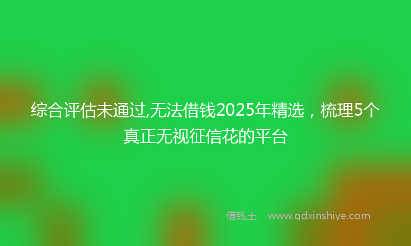 综合评估未通过,无法借钱2025年精选，梳理5个真正无视征信花的平台