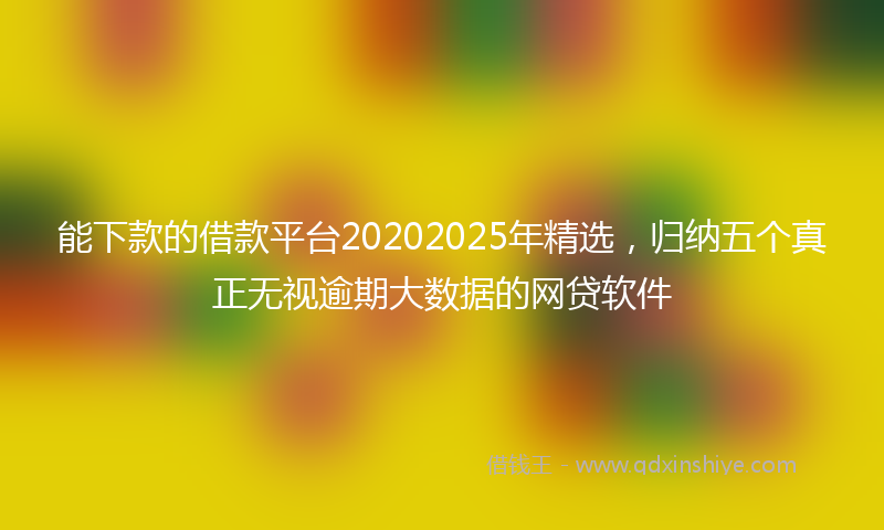 能下款的借款平台20202025年精选，归纳五个真正无视逾期大数据的网贷软件