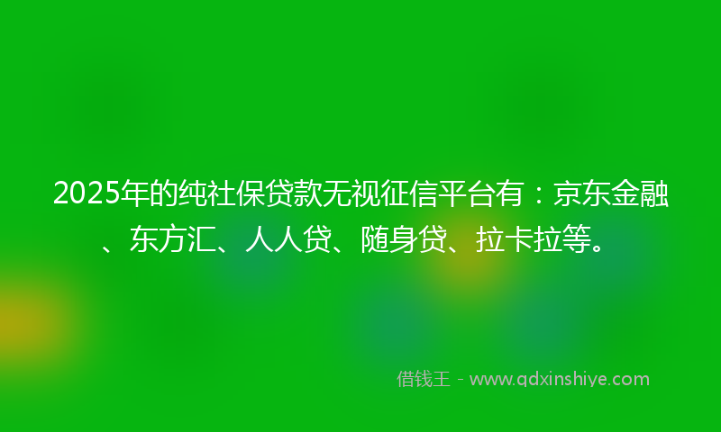 2025年的纯社保贷款无视征信平台有：京东金融、东方汇、人人贷、随身贷、拉卡拉等。