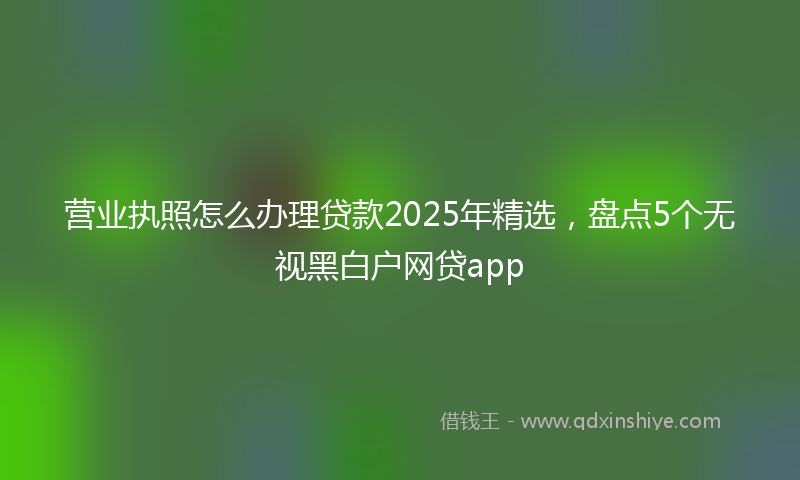 营业执照怎么办理贷款2025年精选，盘点5个无视黑白户网贷app