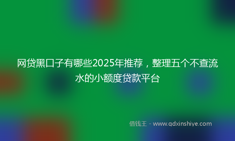 网贷黑口子有哪些2025年推荐，整理五个不查流水的小额度贷款平台