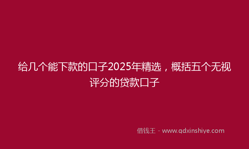 给几个能下款的口子2025年精选，概括五个无视评分的贷款口子