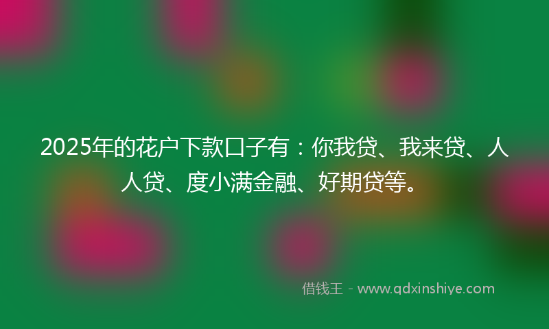 2025年的花户下款口子有：你我贷、我来贷、人人贷、度小满金融、好期贷等。